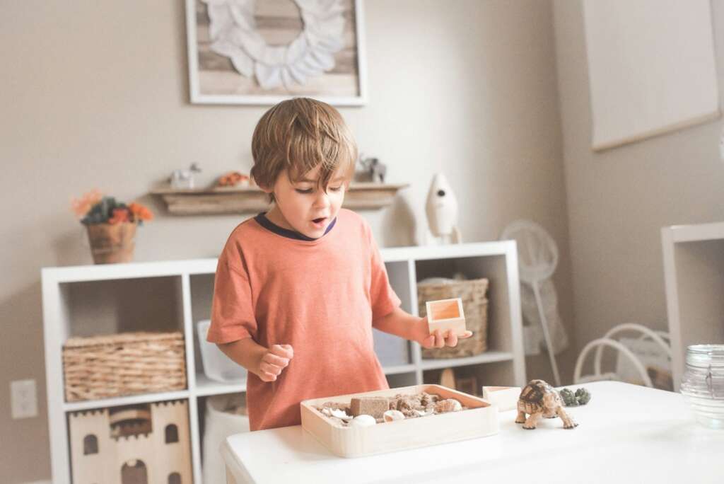 Child Playing With Toys